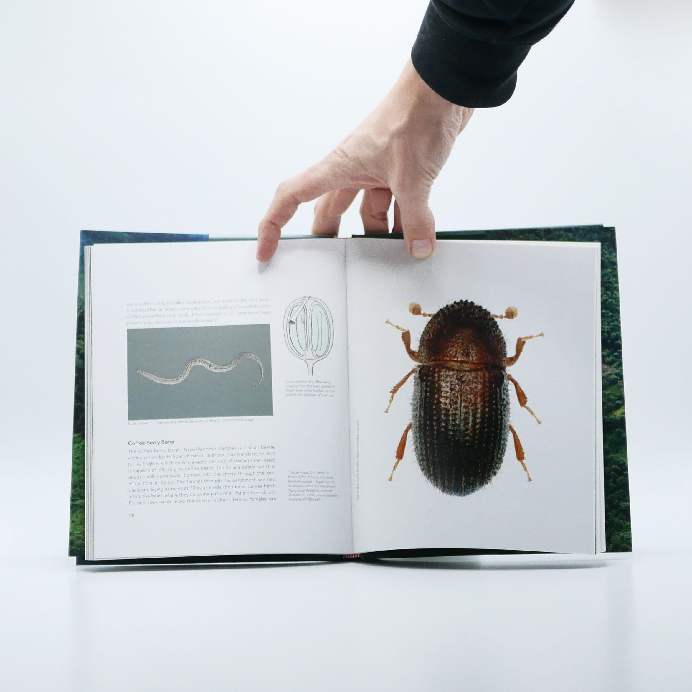 Terroir Coffee from Seed to Harvest by Jem Challender / Barista Hustle Education - Image 2