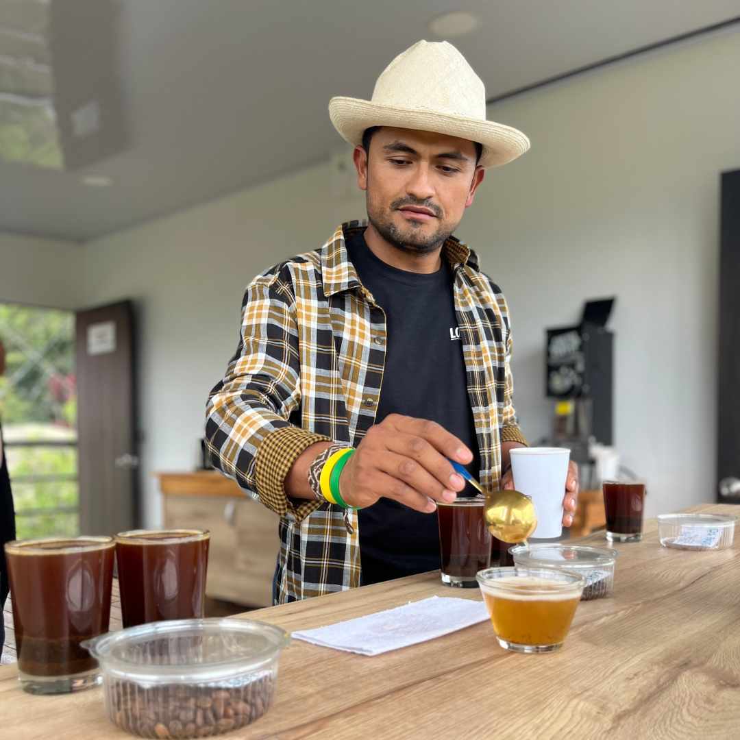 TYPICA Colombia - Nogales - Image 2