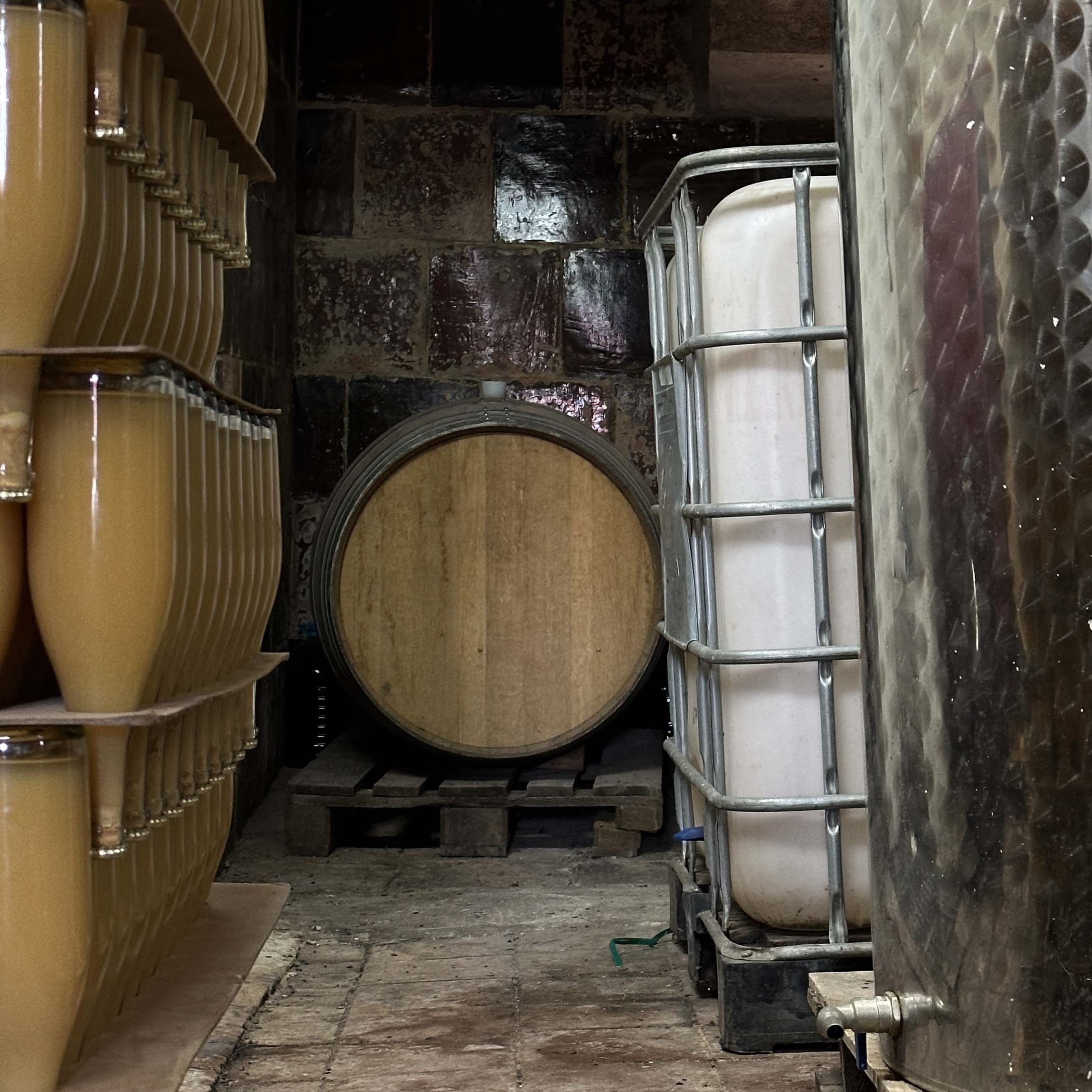 A.M.O.C. — Chicos Altos 2.0 - Image 3