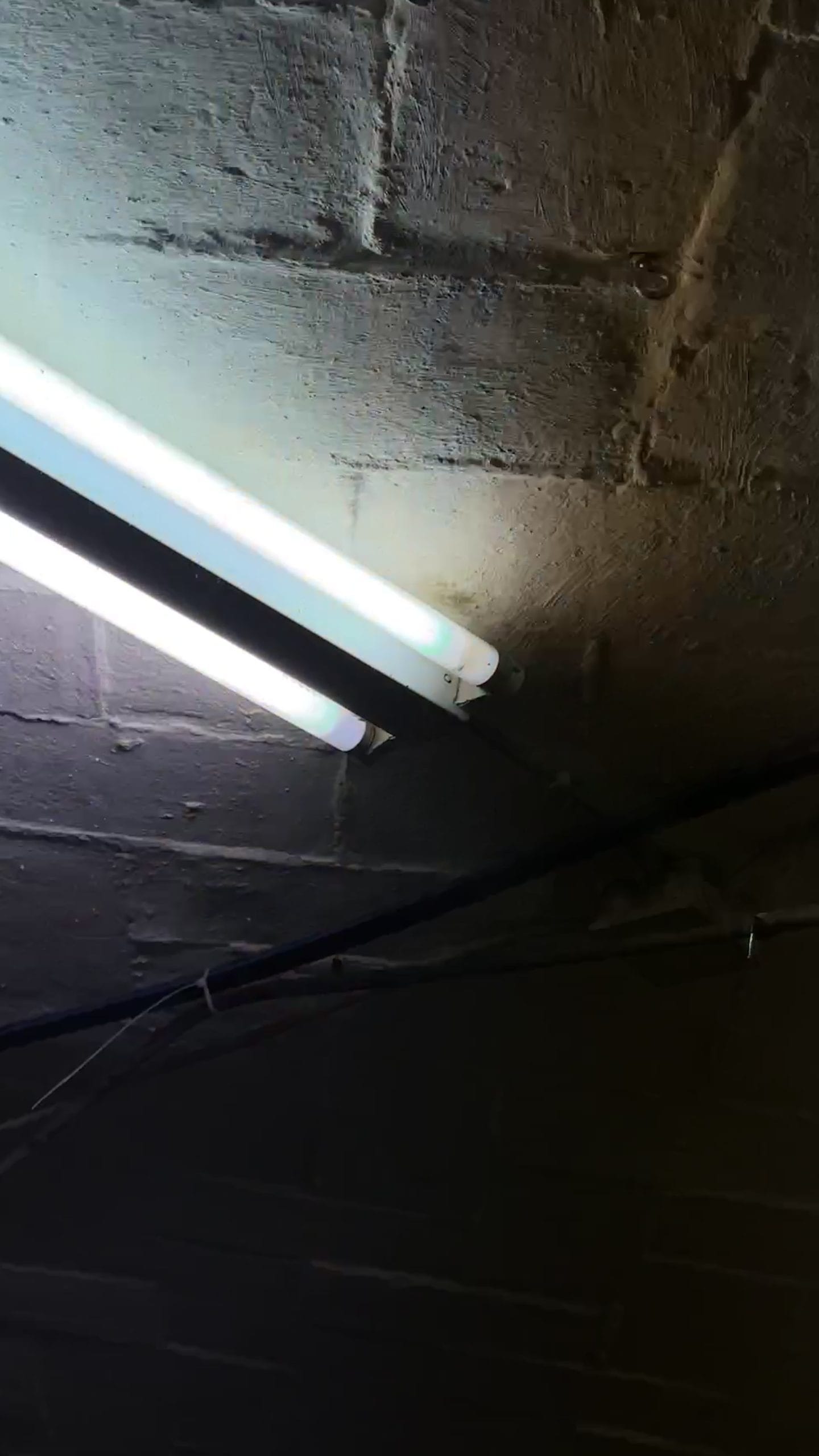 A.M.O.C. — Chicos Altos 2.0 - Image 4