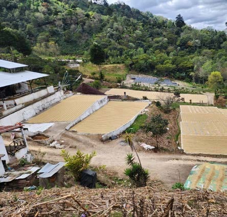 /022 Guatemala — Las Brisas - Image 2