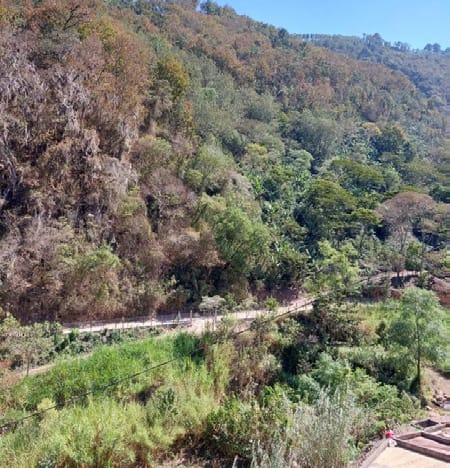 /022 Guatemala — Las Brisas - Image 4