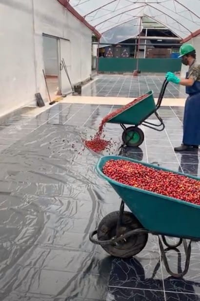 /046 Costa Rica — El Churro - Image 2