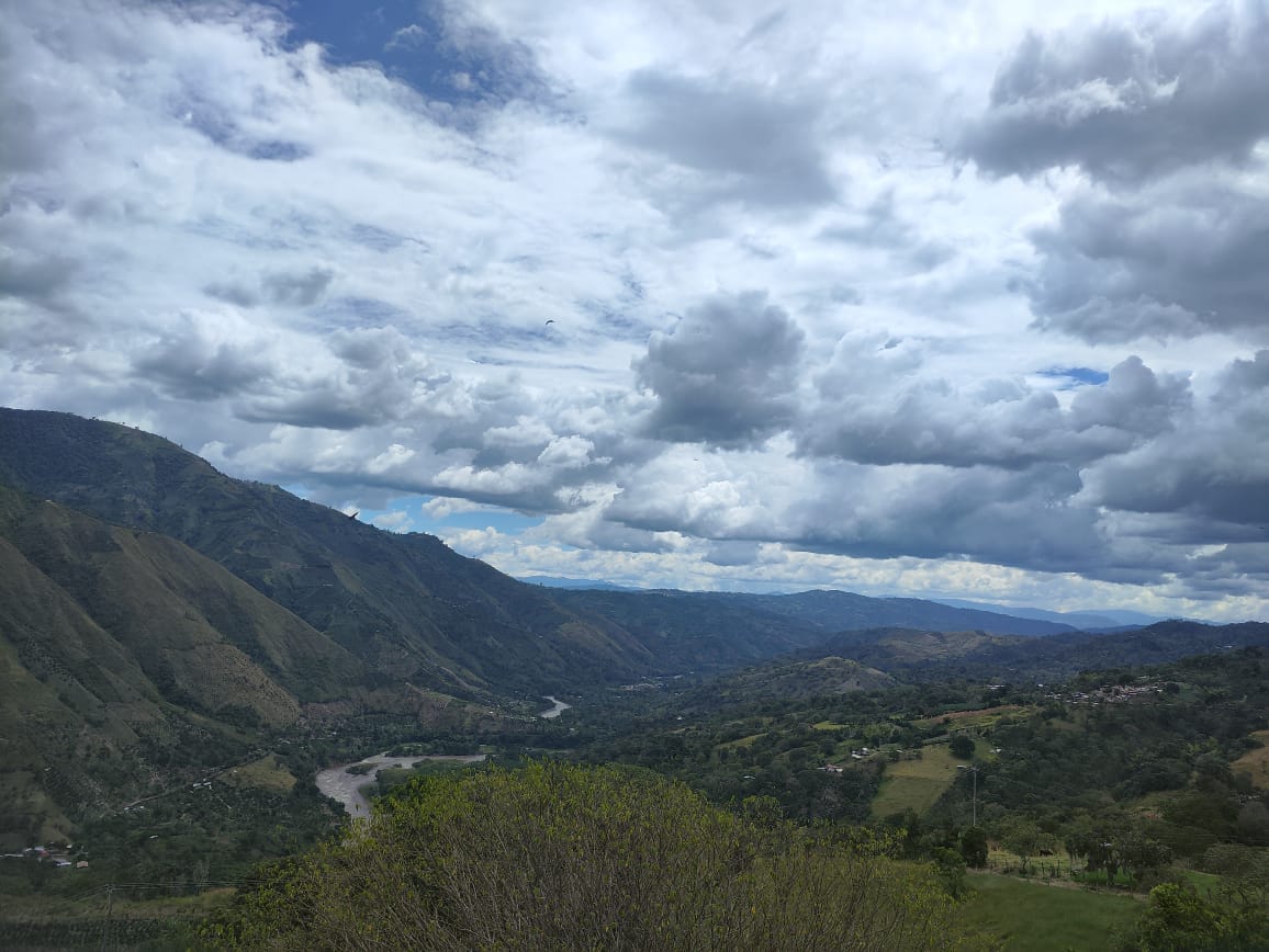 GESHA Colombia — La Quebraditas - Image 2