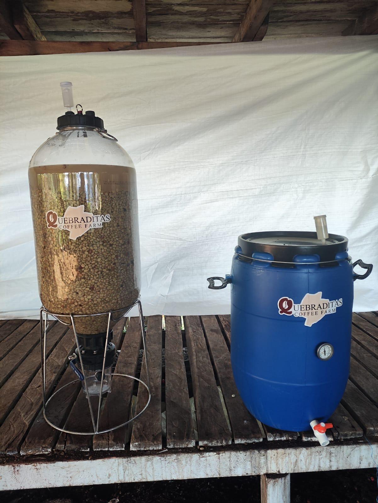 GESHA Colombia — La Quebraditas - Image 4