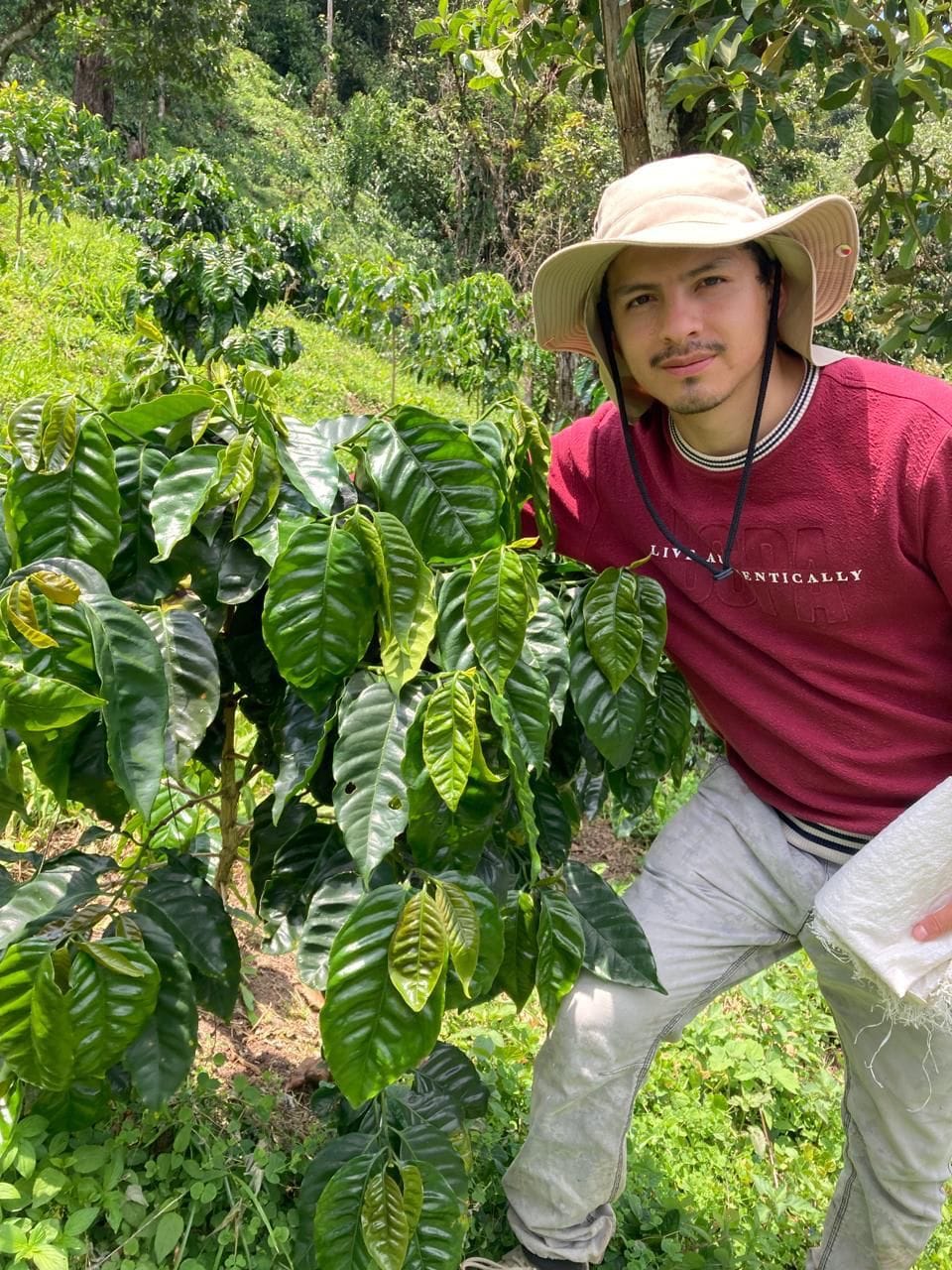 SIDRA | WUSH WUSH Ecuador — La Reserva - Image 5