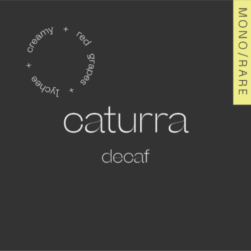 CATURRA DECAF Colombia - Nogales